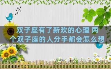 双子座有了新欢的心理 两个双子座的人分手都会怎么想